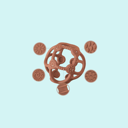 Curious Baby Bundle (3+ Months)